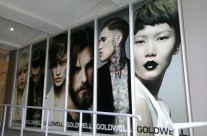 DNA – Goldwell