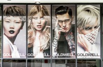 DNA – Goldwell Brisbane Academy